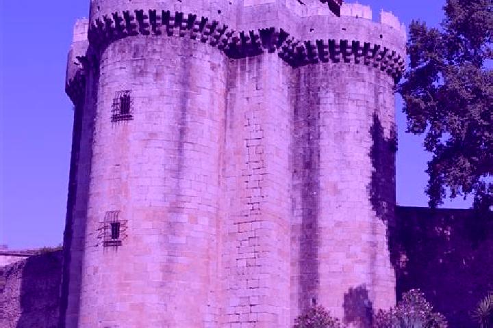 Escorts Zarza de Granadilla, Spain — Local Companions
