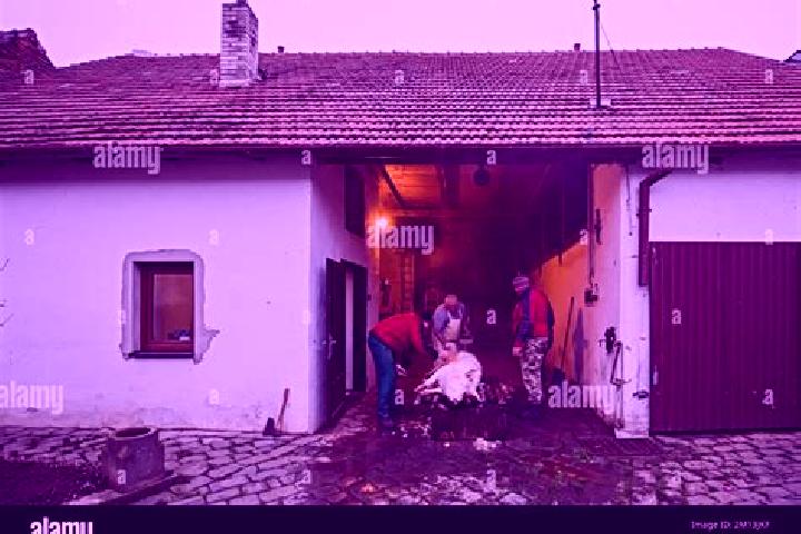 Escorts Zbysov, Czech Republic — Local Companions