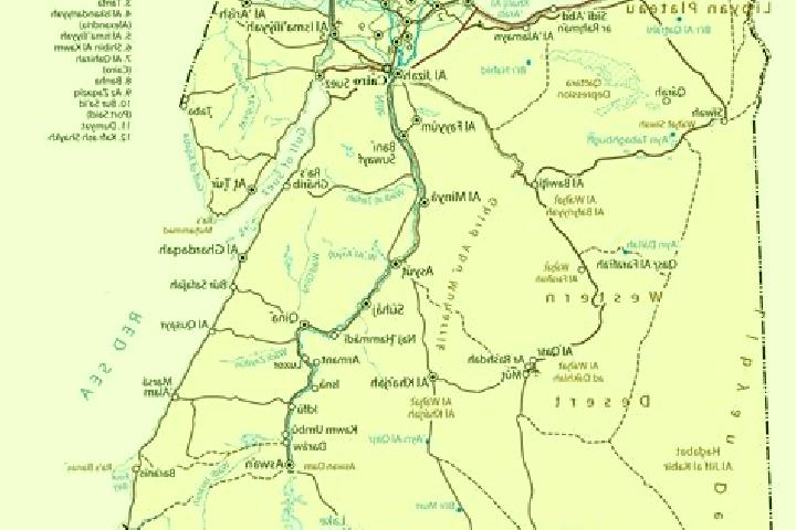 Escorts Zefta, Egypt — Local Companions