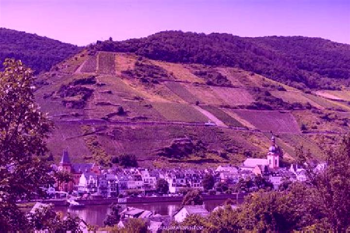 Escorts Zell, Germany — Local Companions