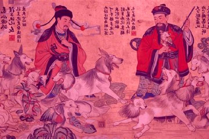 Escorts Zhemu, China — Local Companions