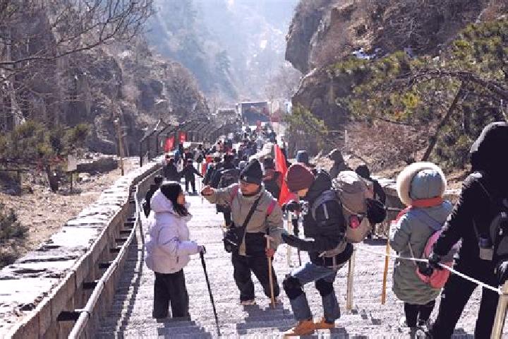 Escorts Zhengang, China — Local Companions