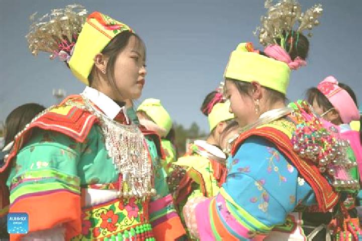 Escorts Zhongpai, China — Local Companions