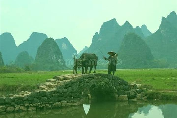 Escorts Zhuangyuan, China — Local Companions