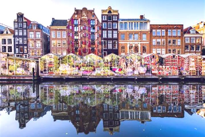 Escorts Zijderveld, Netherlands — Local Companions
