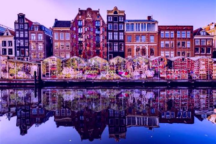 Escorts Zonnemaat, Netherlands — Local Companions