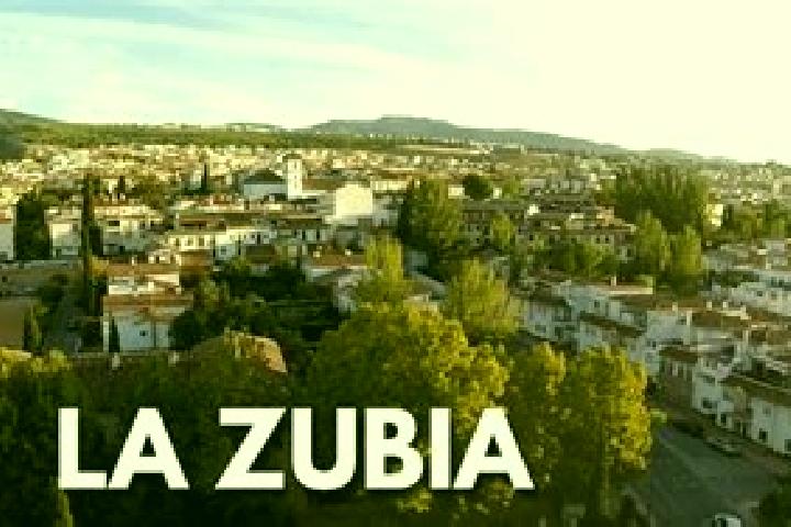 Escorts Zubia, Spain — Local Companions