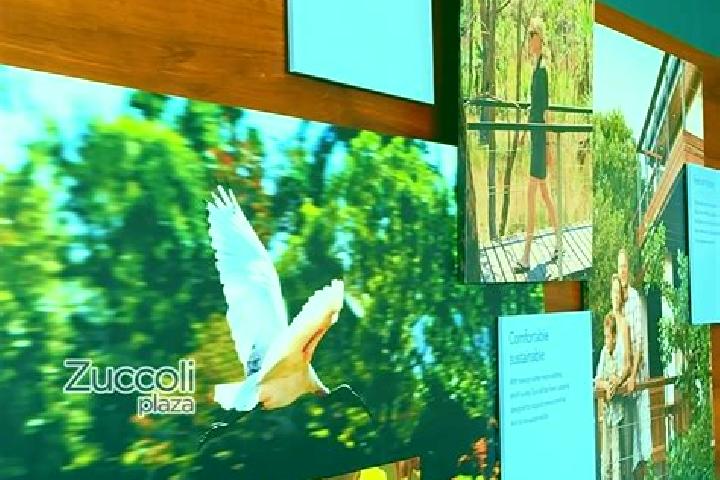Escorts Zuccoli, Australia — Local Companions