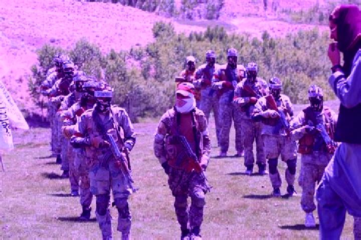 Escorts Zurmat, Afghanistan — Local Companions