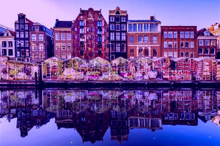 Escorts Zutphen, Netherlands — Local Companions