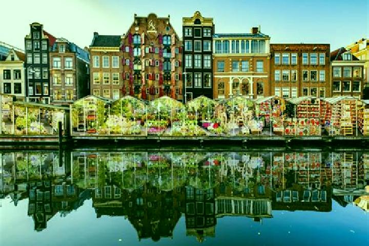 Escorts Zwartebroek, Netherlands — Local Companions