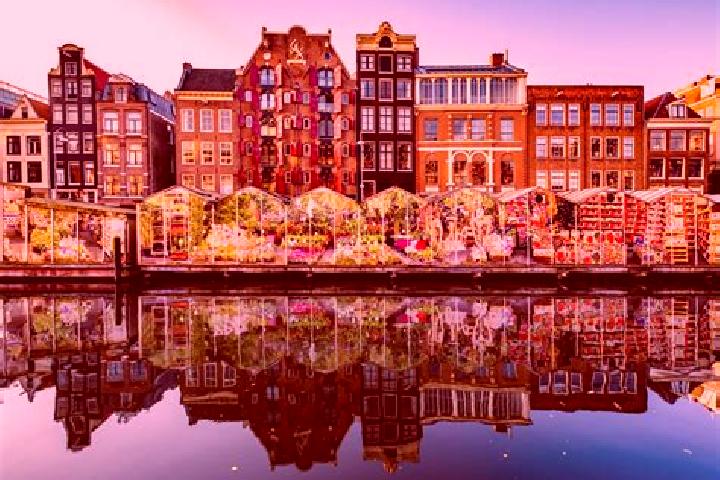 Escorts Zwartewaal, Netherlands — Local Companions