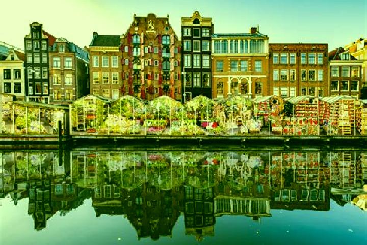 Escorts Zwartsluis, Netherlands — Local Companions