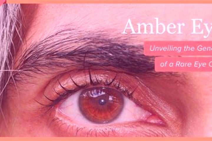 Eva, 20, a black amber-eyed mediterranean companion based in Innisfail. Offering A-Level, Duos. Available for incall and outcall, day and evening dates.