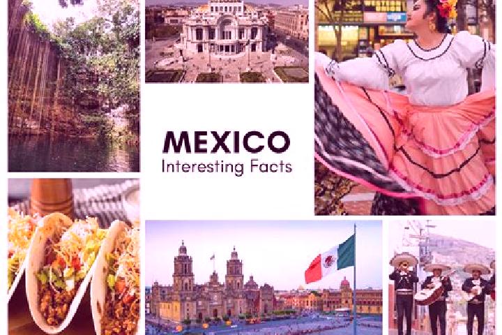 Eva, 20 — Escort in Estero Verde, Mexico