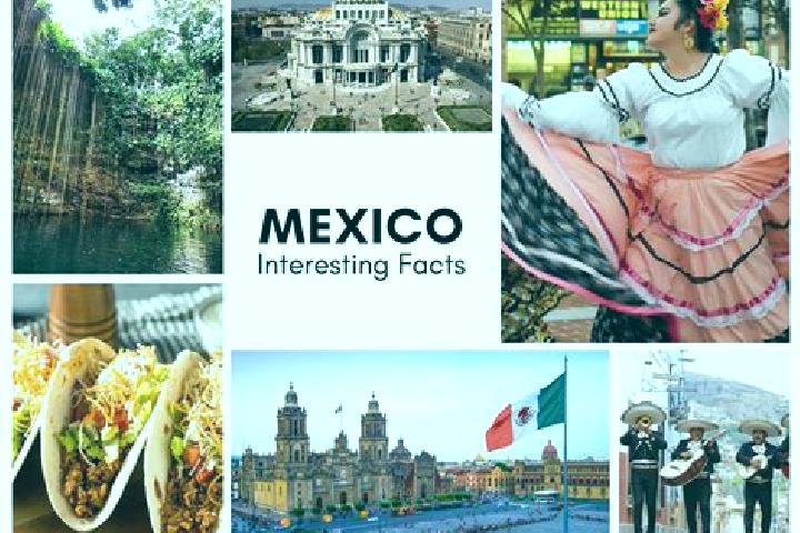 Eva, 20 — Escort in Maxtaco, Mexico