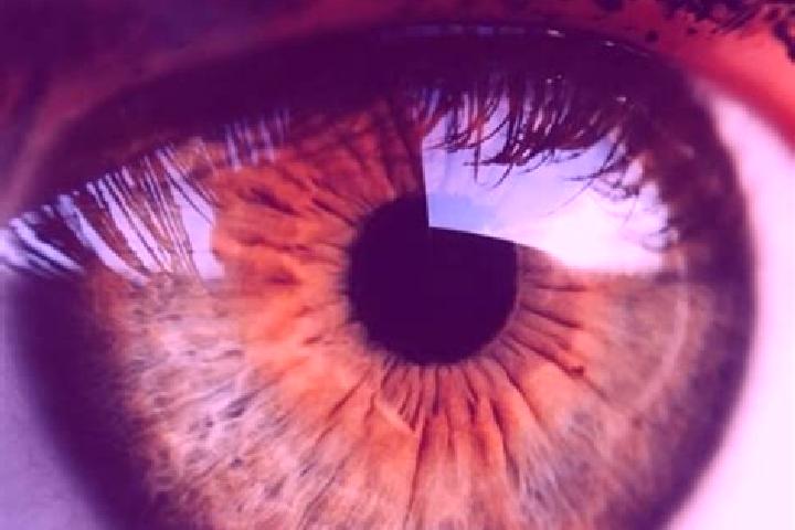 Eva, 22, a dark blonde hazel-eyed caucasian companion based in Buggenhout. Offering Travel Companion, Prostate Massage, Deep French Kissing, Massage. Availab...