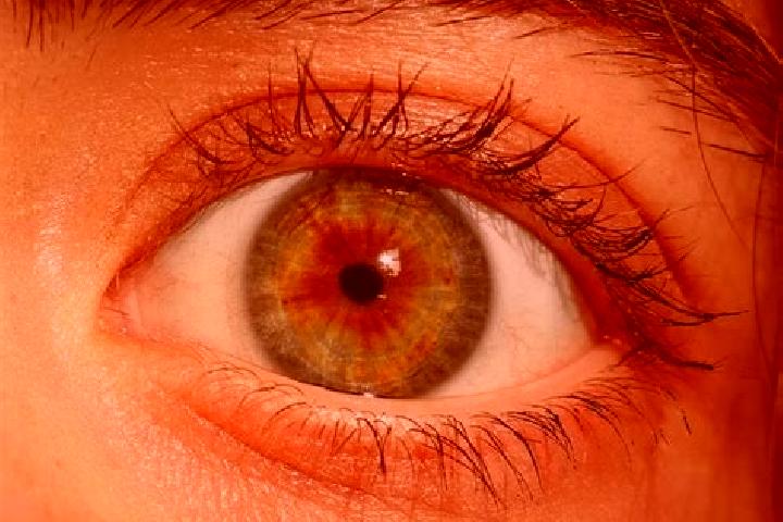 Eva, 22, a red hazel-eyed middle eastern companion based in Santiago de Alcantara. Offering Overnight, Travel Companion, Domination, A-Level. Available for i...