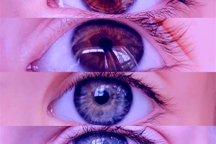 Eva, 23, a chestnut dark-eyed mixed companion based in Inhapim. Offering Dinner Date, BDSM, Couples, Duos. Available for incall and outcall, day and evening ...
