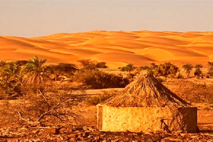 Eva, 23 — Escort in Mijek, Western Sahara