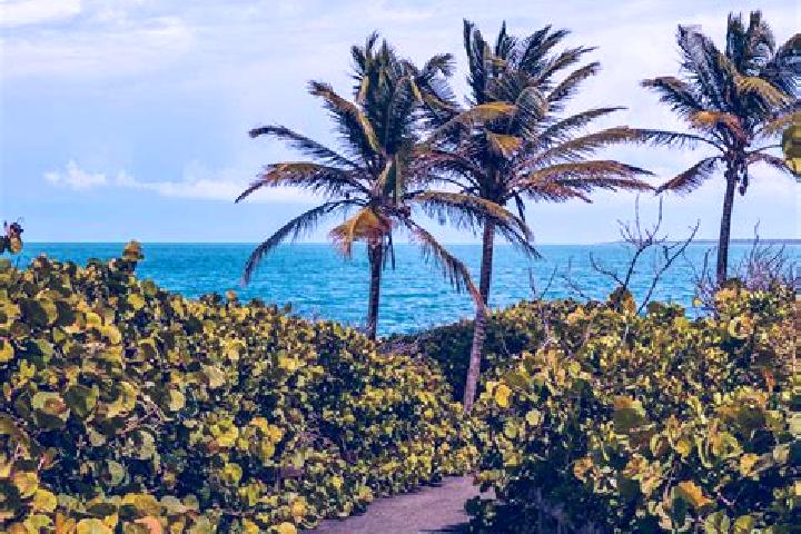 Eva, 23 — Escort in Naguabo, Puerto Rico