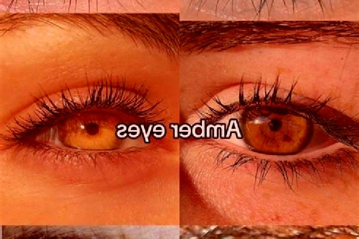 Eva, 24, a chestnut amber-eyed ebony companion based in Jielin. Offering Party Girl, GFE, CIM, Overnight, Domination. Available for incall and outcall, day a...