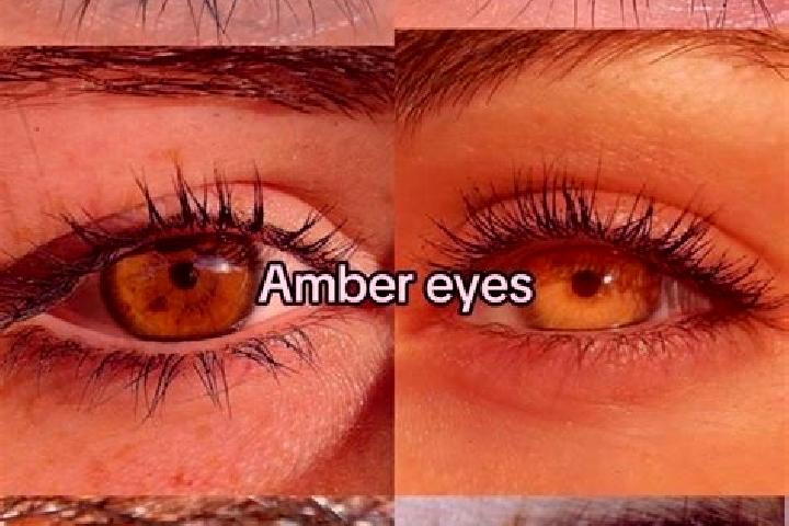 Eva, 24, a chestnut amber-eyed indian companion based in Dainville. Offering A-Level, Fetish, Party Girl. Available for incall and outcall, day and evening d...