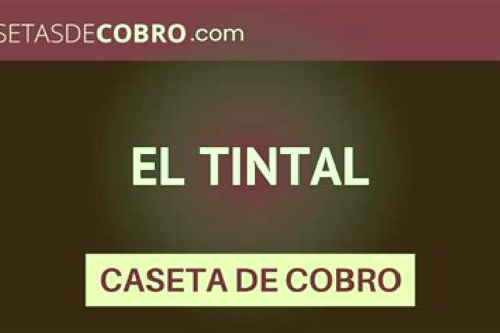 Eva, 24 — Escort in El Tintal, Mexico