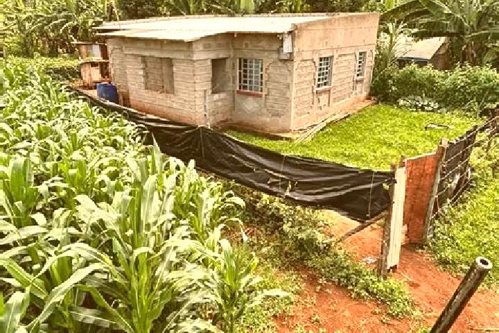 Eva, 24 — Escort in Othaya, Kenya