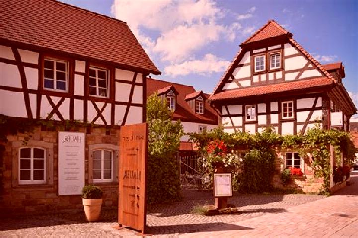 Eva, 24 — Escort in Pleisweiler-Oberhofen, Germany