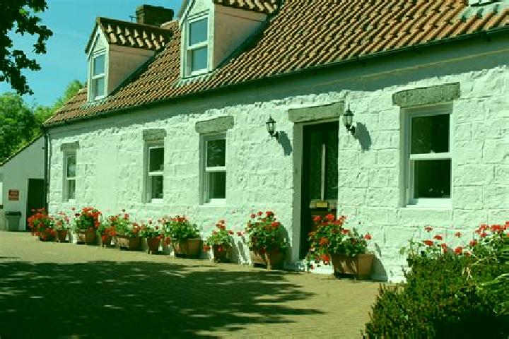Eva, 24 — Escort in Saint Pierre du Bois Parish, Guernsey