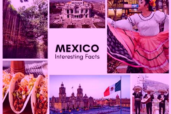 Eva, 24 — Escort in Tepuxta, Mexico