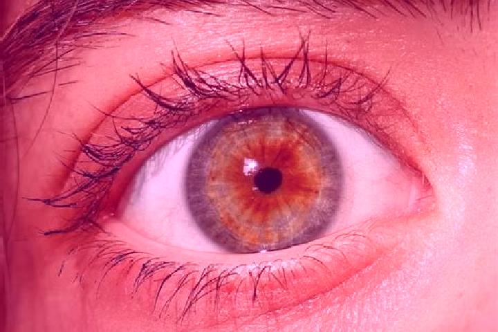 Eva, 25, a red hazel-eyed slavic companion based in Incehidir. Offering OWO, Domination, Striptease. Available for incall and outcall, day and evening dates.
