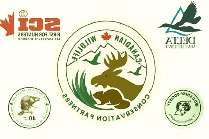 Eva, 25 — Escort in Conservation, Canada