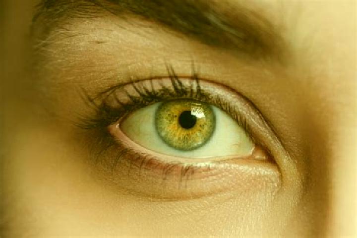 Eva, 26, a black hazel-eyed mixed companion based in Dudasu Schelei. Offering Domination, Couples, Overnight, BDSM, Deep French Kissing. Available for incall...