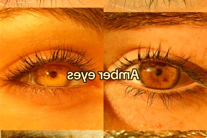 Eva, 26, a chestnut amber-eyed european companion based in Umm ar Rizam. Offering Deep French Kissing, Domination, CIM. Available for incall and outcall, day...