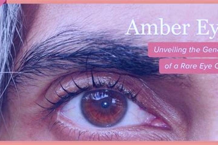 Eva, 27, a black amber-eyed caucasian companion based in San Miguel Deheti. Offering Roleplay, GFE, OWO. Available for incall and outcall, overnight bookings...