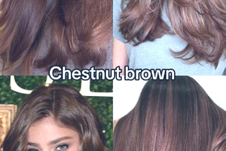 Eva, 27, a chestnut brown-eyed ebony companion based in Ligonier. Offering 69, Erotic Massage, Striptease. Available for incall and outcall, overnight bookin...