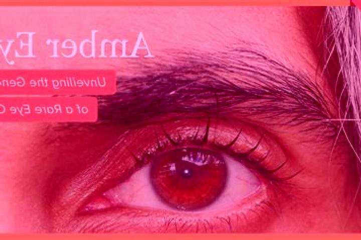 Eva, 28, a black amber-eyed mixed companion based in Zavala. Offering Travel Companion, A-Level, Duos. Available for incall and outcall, overnight bookings a...