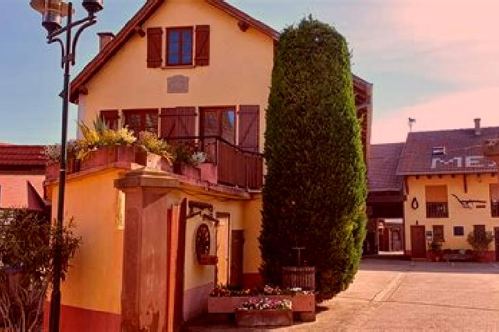 Eva, 28 — Escort in Oberschaeffolsheim, France