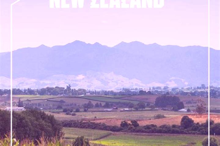 Eva, 28 — Escort in Pirongia, New Zealand