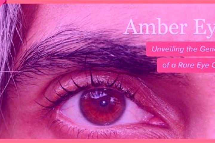 Eva, 29, a black amber-eyed caribbean companion based in Averbode. Offering GFE, Roleplay, Travel Companion, CIM. Available for incall and outcall, overnight...