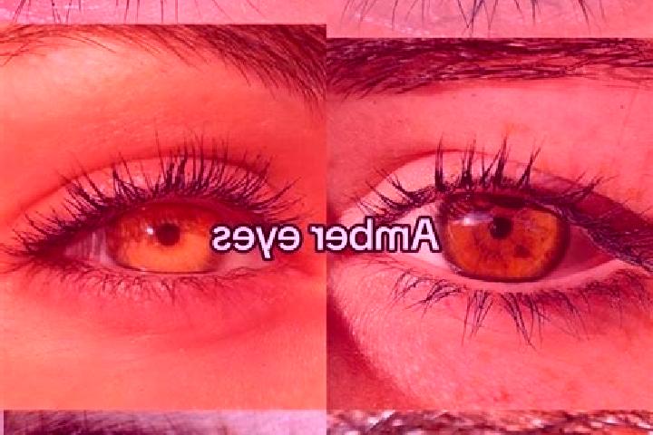 Eva, 29, a brunette amber-eyed middle eastern companion based in Weddington. Offering 69, BDSM, Dinner Date. Available for incall and outcall, overnight book...