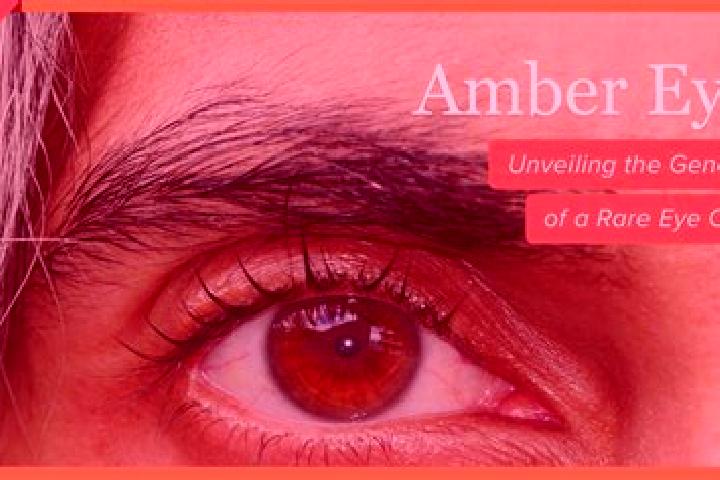 Eva, 29, a red amber-eyed indian companion based in Shu fat. Offering Deep French Kissing, 69, Party Girl. Available for incall and outcall, overnight bookin...