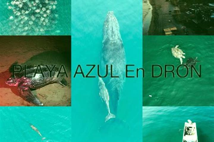 Eva, 29 — Escort in Playa Azul, Mexico