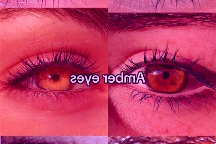 Eva, 30, a chestnut amber-eyed indian companion based in Colon. Offering Travel Companion, Roleplay, Overnight, Party Girl, CIM. Available for incall and out...