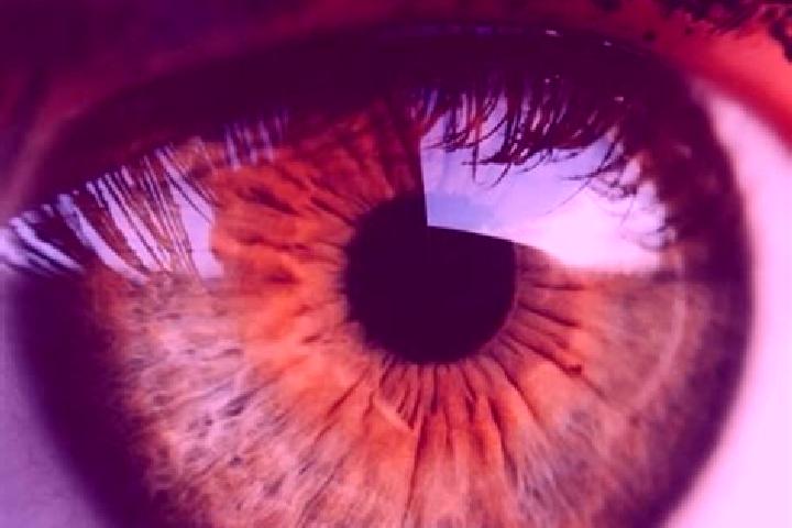 Eva, 30, a dark blonde hazel-eyed mediterranean companion based in Sarsoni. Offering Dinner Date, BDSM, Fetish, 69. Available for incall and outcall, overnig...