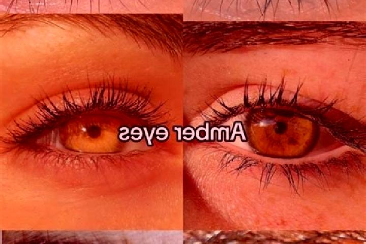Eva, 31, a chestnut amber-eyed middle eastern companion based in Parshall. Offering 69, GFE, Erotic Massage, Massage. Available for incall and outcall, day a...