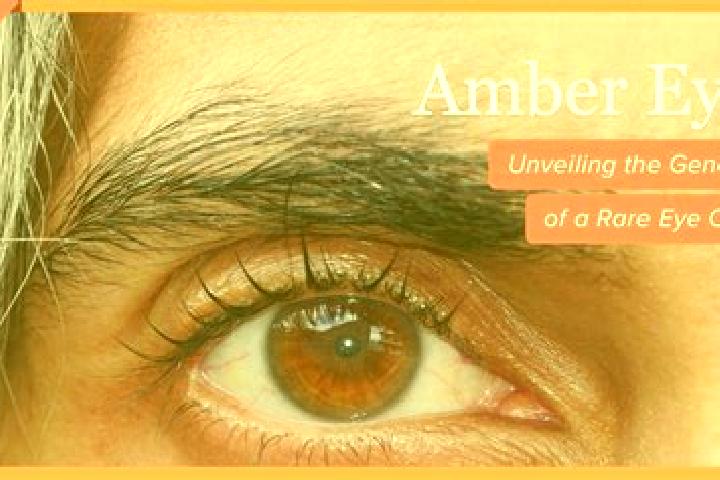 Eva, 32, a red amber-eyed caucasian companion based in Prekopakra. Offering Girlfriend Experience, 69, BDSM. Available for incall and outcall, day and evenin...