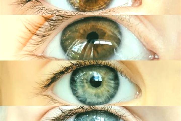 Eva, 33, a chestnut grey-eyed middle eastern companion based in Rio do Oeste. Offering Massage, Tantra, Striptease, Couples. Available for incall and outcall...